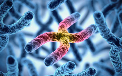 Make friends with your telomeres