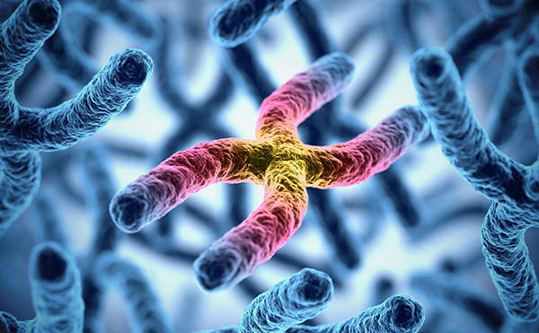 Make friends with your telomeres