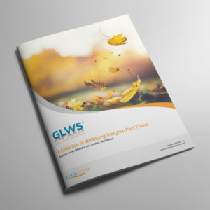 A Collection of Wellbeing Insights Part 3