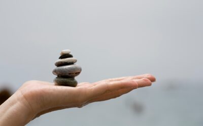 The 6 Ingredients to Wellbeing (and Performance) Success